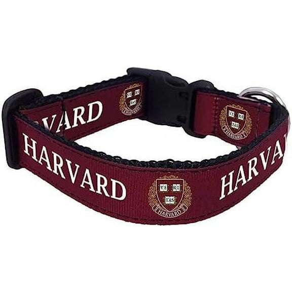 College Dog Collar (Medium, Harvard)