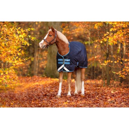 Amigo Bravo 12 Original Pony Turnout Blanket (250g Medium), Navy (Turquoise/Aqua Trim), Size: 54