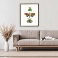 thumbnail image 2 of Stupell Industries Bright Moths Earth Tones Brown Framed Floater Canvas Wall Art design by Farida Zaman, 31 x 25, 2 of 9