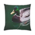 thumbnail image 2 of Ahgly Company Animals Duck Indoor Throw Pillow, 18 inch by 18 inch, 2 of 6