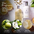 thumbnail image 2 of Recambio para jabón de manos Molton Brown Orange & Bergamot, 400 ml, 2 of 6