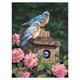 thumbnail image 1 of Cuadros Decorativos 5D bricolaje completo taladro diamante pintura pájaro Cruz puntada bordado mosaico Kits Ehuebsd Nuevos Originales, 1 of 8