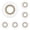 White*5, variant on Grafting Tape Grafting Film for Plants, 1 Pc Stretchable Garden Grafting Tape, Plants Repair Budding Tapes for Floral, Fruit Tree, Garden Stem Fix & Plant Support