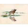 thumbnail image 2 of Manning, Ruane 14x11 White Modern Wood Framed Museum Art Print Titled - Misty Elk, 2 of 4
