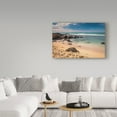 thumbnail image 3 of Trademark Fine Art 'Baby Beach Honu' Canvas Art by Pierre Leclerc, 3 of 3