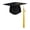 Black-2, variant on Graduation Cap Master Grad Cap Unisex High School Grad Hat Adult Graduation Ceremony Caps Mortarboard Caps with Tassel for High School &