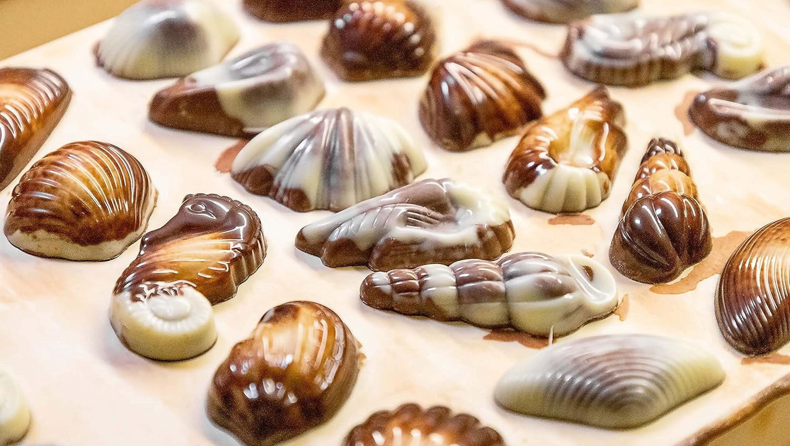 Guylian Guylian  Chocolates, 8.82 oz