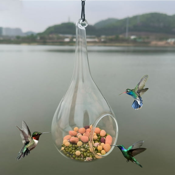 AZXY Bird Feeders Outdoor,Hummingbird Feeders Clearance,Wild Bird Feeder Squirrel Proof,Hanging Glass Clear Birdfeeder for Garden Yard Decoration