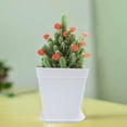thumbnail image 5 of Duslogis 10 Pcs 3 Inch Plastic Plant Pots,White Square Plastic Planters,Seedling Nursery Pots with Saucer,Flower Plant Pots Indoor Outdoor for Succulents,Flowers,Garden Office and Balcony Decor, 5 of 7