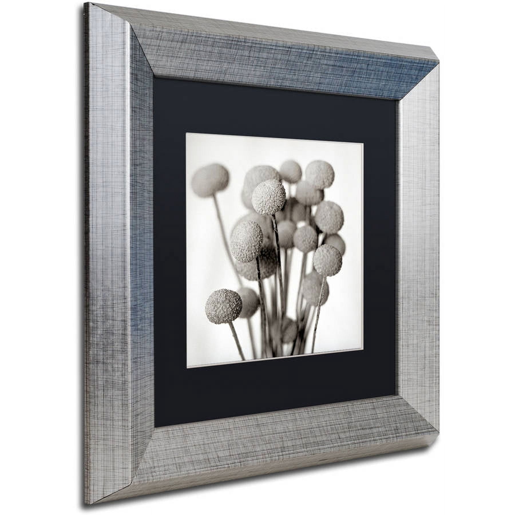 Trademark Fine Art "Florison 33" Canvas Art by Alan Blaustein, Black Matte, Silver Frame