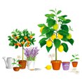 thumbnail image 5 of Ins Fresh and Warm Creative Plant Pottery Wall Stickers Living Room Glass Doors and Windows Stickers, 5 of 5