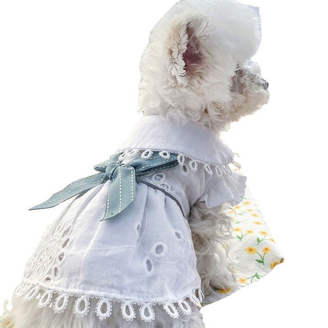falda para perro,Vestidos para perros pequeños Cachorro Gato Vestido Verano Perro B