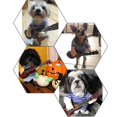 thumbnail image 5 of Disfraz divertido de Halloween Disfraz de guitarra para perro mascota-Ll, 5 of 5