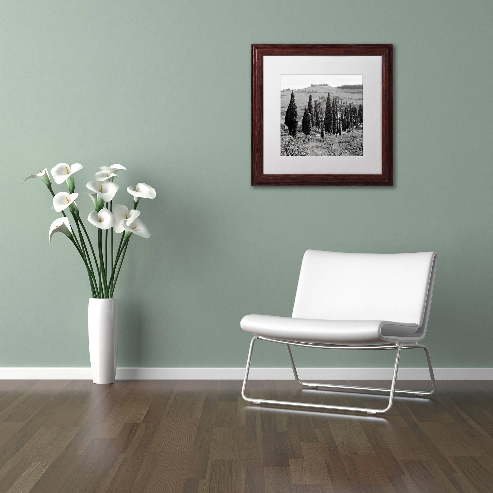 Trademark Fine Art "Tuscany IV" Canvas Art by Alan Blaustein, White Matte, Wood Frame