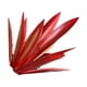 thumbnail image 1 of Monstrate Estatuilla de Metal única de Agave, decoración para exteriores con Tequila azul rústico, adornos de césped de mantenimiento Simple Jardín y Patio rojo, 1 of 6