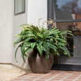 thumbnail image 5 of CQURE 2 Pack 50-Inch Artificial Boston Fern Plants, 96 Fronds Realistic Fake Bushes for Indoor & Outdoor Garden, Porch, Patio Decor, 5 of 9