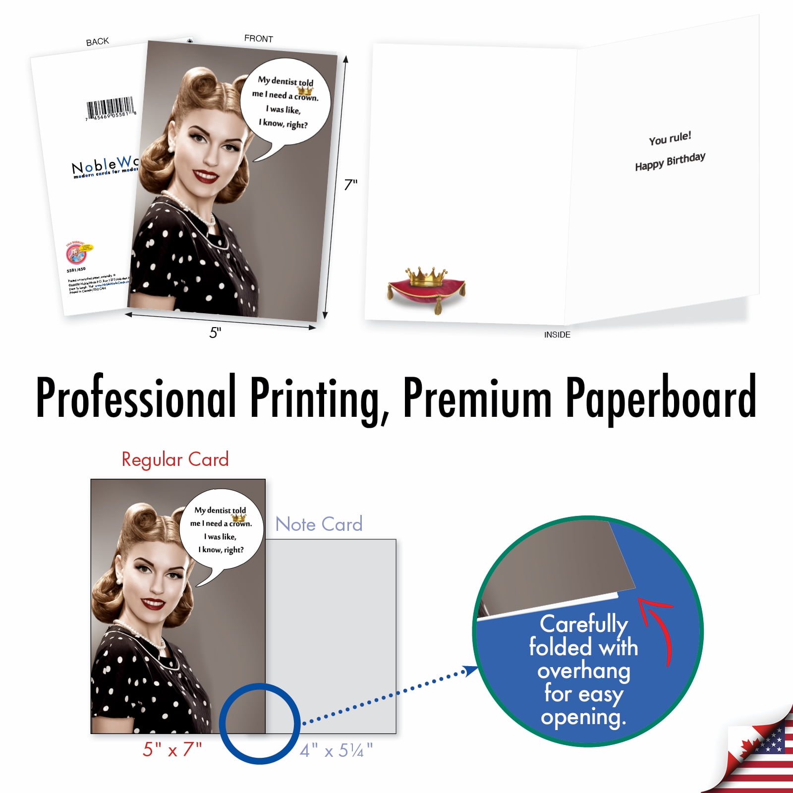 NobleWorks 20 Assorted Box Set Funny Birthday Greeting Cards w/5 x 7 Inch Envelopes (10 Designs, 2 Each) Bday Birthday Bonanza AC8837BDG-B2x10