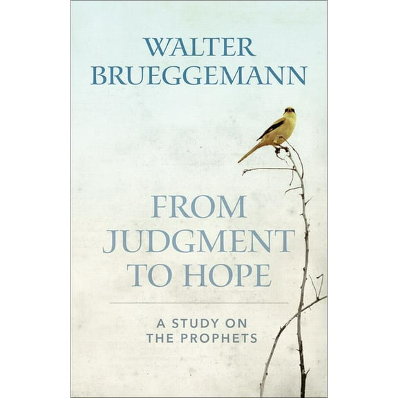 From Judgment to Hope: A Study on the Prophets (Paperback)