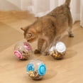 thumbnail image 5 of Soimiss Pet Food Leaking Toys Pet Treat Dispenser Ball Toy ABS Interactive Indoor Play 3pcs, 5 of 8