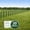 Green, variant on Y&M Decorative Black Garden Border Fence 16.7inX12.8in Metal Wire Edging Flower Bed Folding Fences Panel Outdoor Garden Fencing Patio Edge Landscape for Yard