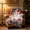 D, variant on American Star Patriotic Throw Blanket for Couch Sofa Bed, July 4th Blanket Ultra Soft Cozy Throw Blanket, 250 Anniversary USA Military Veteran July 4th Gift, 27x39 inches
