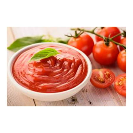 Guy Gone Keto Ketchup Infused with MTC Oil Paleo Ketchup Low Carb Ketchup Keto Condiment No Artificial Sweeteners Sweetened with All Natural Allulose, Monkfruit & Stevia 14 oz. 2 Pack