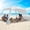Fish Print, variant on Beach Canopy Cabana with 4 Corners, 6.5'×6.5' Tent Sun Shelter, Adjustable Height Beach Umbrella Tent with Side Wall, Wave Pattern