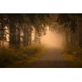 thumbnail image 2 of Maier, Norbert 32x23 Gold Ornate Wood Framed with Double Matting Museum Art Print Titled - On the way into the fog, 2 of 4
