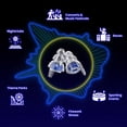 thumbnail image 3 of Tapones para los oídos Eargasm High Fidelity Beyond Wonderland 2025 Edition, 3 of 9