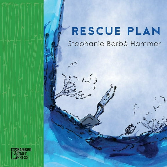 Rescue Plan (Paperback)
