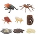 thumbnail image 4 of 2 conjuntos de modelos de círculo de cultivo de insectos de imitación para niños cognición para niños, 4 of 6