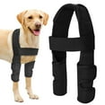 thumbnail image 2 of Didog Black Dog Front Legs Brace Hock Wraps Bandage --Help Wounds Compression Joint Wrap Wounds Elbow Protector, 2 of 13