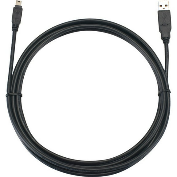 Brother Mobile LB3603 USB Cable with Usb-Mini5B/Usb-A Connectors, 10 feet Length