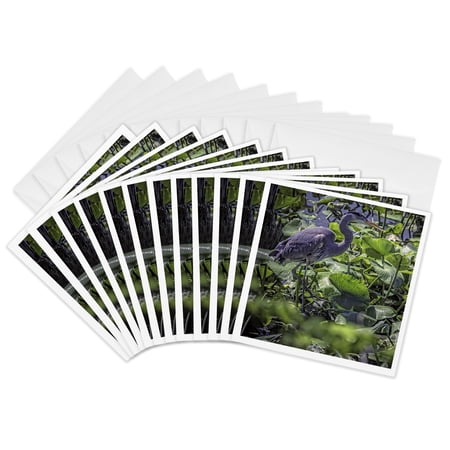 3drose Great Blue Heron 12 Greeting Cards with Envelopes