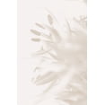 thumbnail image 2 of 1x Studio III 17x24 White Modern Wood Framed Museum Art Print Titled - FLOWER BEIGE_2, 2 of 4