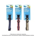 thumbnail image 2 of Collar para Perro Vibrant Life De Nylon Talla Chica Varios Colores 1 Pza, 2 of 4