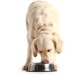 thumbnail image 2 of Set de 2 Plato para Mascota 18 cm Acero Inoxidable, 2 of 4