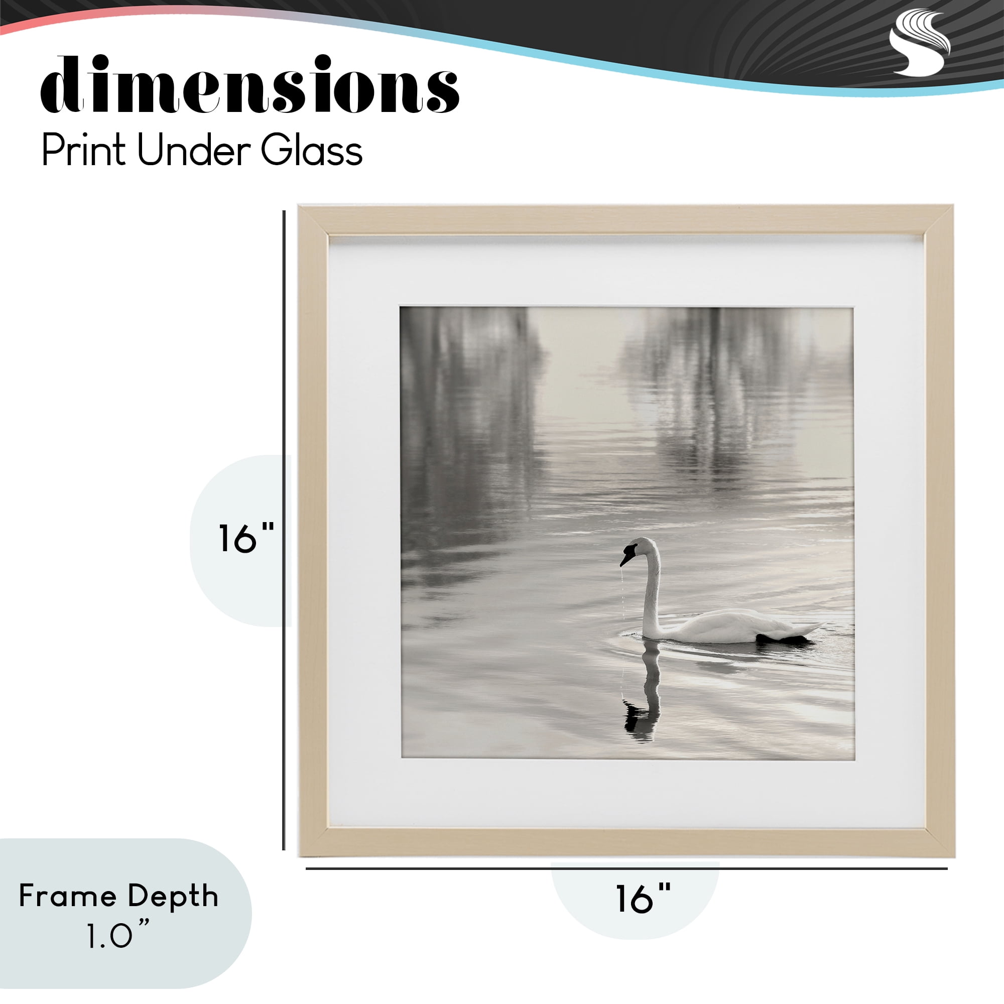 Stupell Industries Morning Sunlit Swan Birch Framed Print Under Glass, design by Nicholas Bell