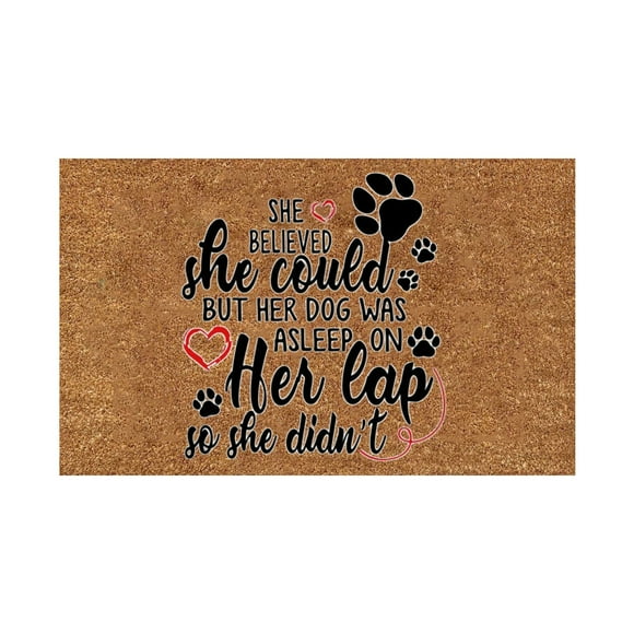 Carpet,Polyester Carpet,Decorative Door Mat Bathroom Welcome Mat Door Mat Floor Mat,Fun Carpet 1Pc B