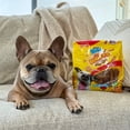 thumbnail image 3 of Nylabone Nubz Flavor Bursts Natural Dog Treats for Small Dogs, Bacon & Cheese Flavor Dog Bones, Small - Up to 30 lbs., 36 Count, 3 of 10