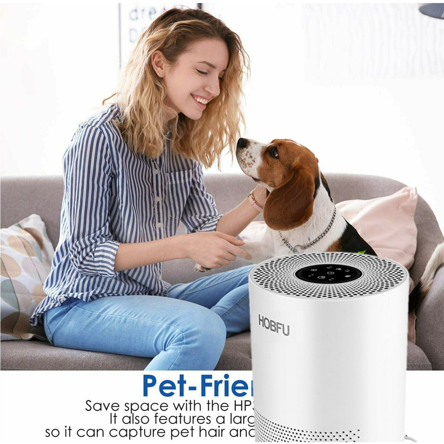 air purifier for dust and dog hair
