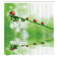 thumbnail image 3 of Ambesonne Nature Shower Curtain, Ladybug on Water Image, 69"Wx84"L, Red Green, 3 of 5
