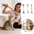 thumbnail image 1 of Flexible Network Management Cat Can Stimulate Cats' Instincts and Bring Unending Entertainment . Elastic Cat Stick, 1 of 8