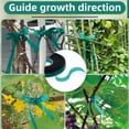 thumbnail image 4 of Ruban de Jardin Plantes Extérieures Lot de 10, Robinet de Jardinage Vert PVC avec Sangles, 4 of 7