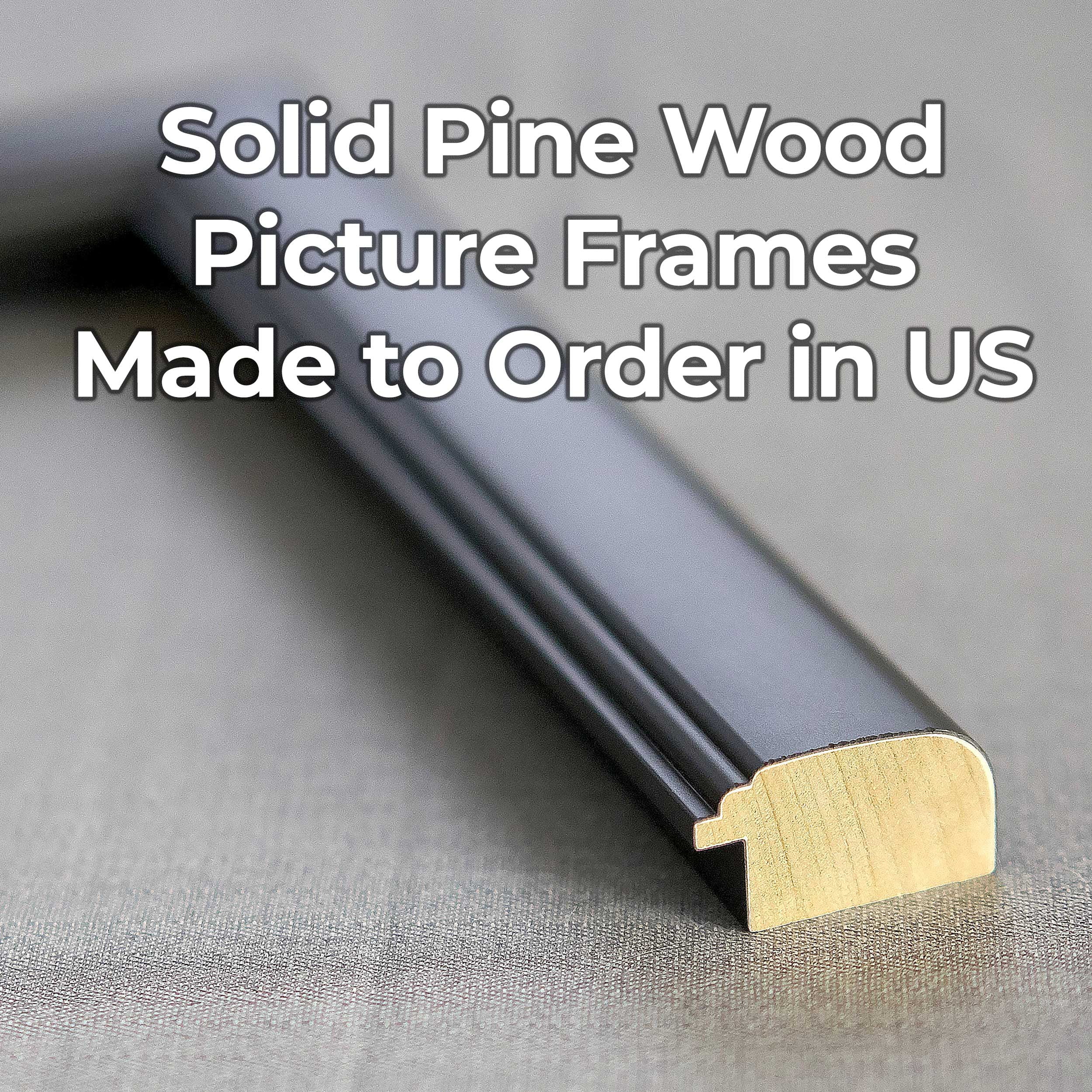 18x24 - 18 x 24 Contemporary Black Solid Wood Frame with UV Framer's Acrylic & Foam Board Backing -