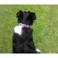 thumbnail image 6 of YUDOTE Reflective Dog Collars Large with Soft Two-Tone Webbing,Pink,Blue,Purple 3 Packs, 6 of 9