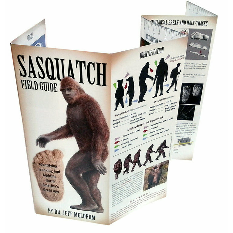 Sasquatch Central: High Strangeness at a Northern Minnesota Homestead  (Bigfoot Chronicles)