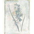 thumbnail image 3 of Grey, Jace 12x14 Black Modern Framed Museum Art Print Titled - Sky Floral Three, 3 of 5