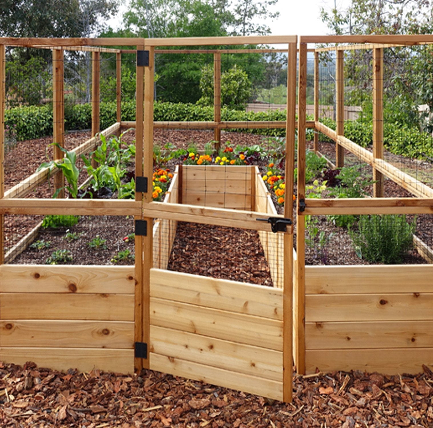 Outdoor Living Today 8x12 Western Red Cedar Raised Garden Bed with Deerfence