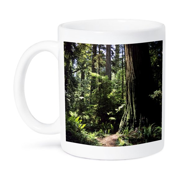 3dRose, Redwood forest in Northern California - US05 DFR0200 - David R. Frazier, 11oz Mug